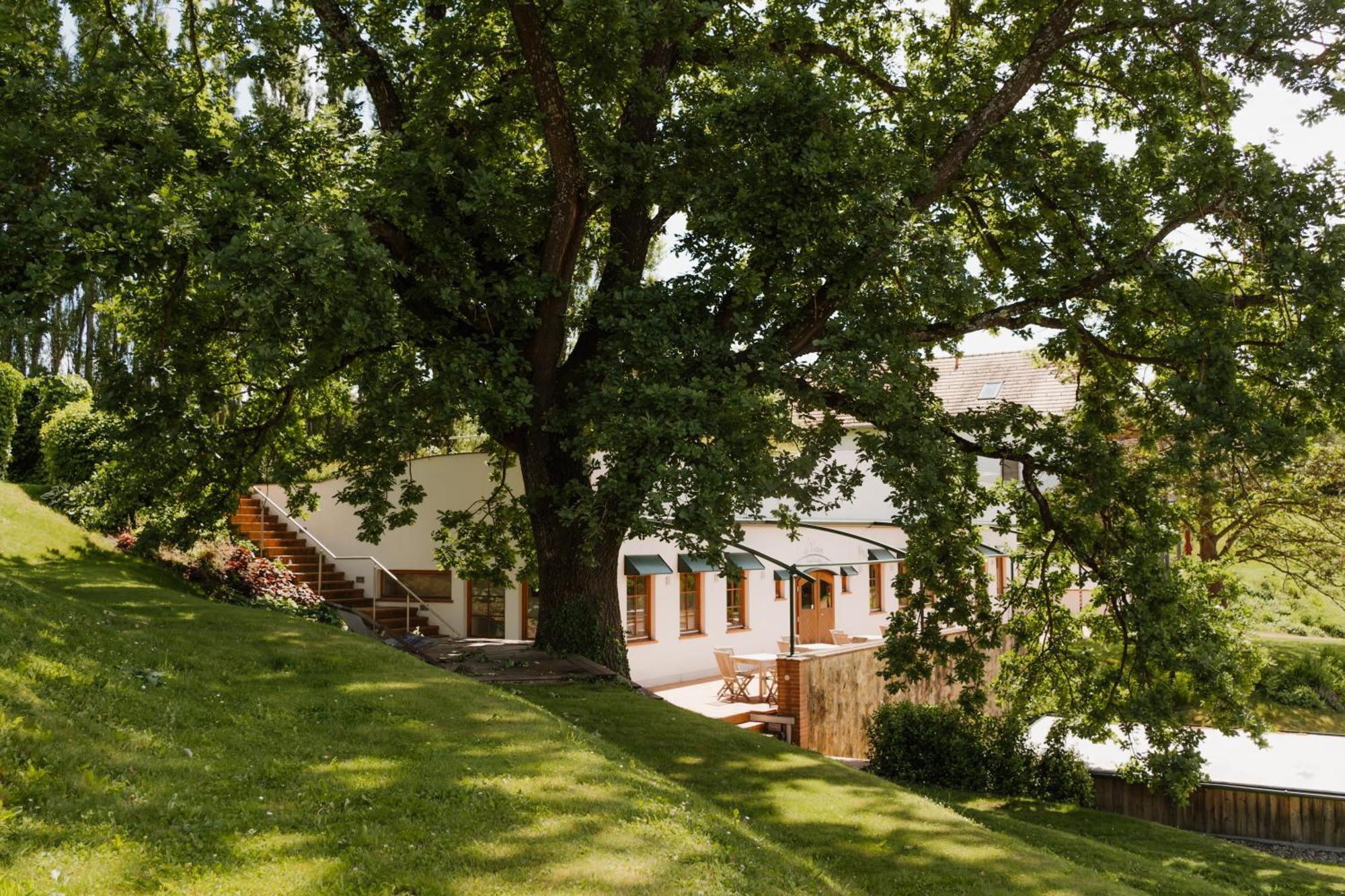 Hotel Eisenberg Sankt Martin an der Raab